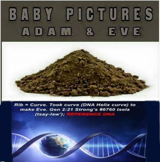 Meme