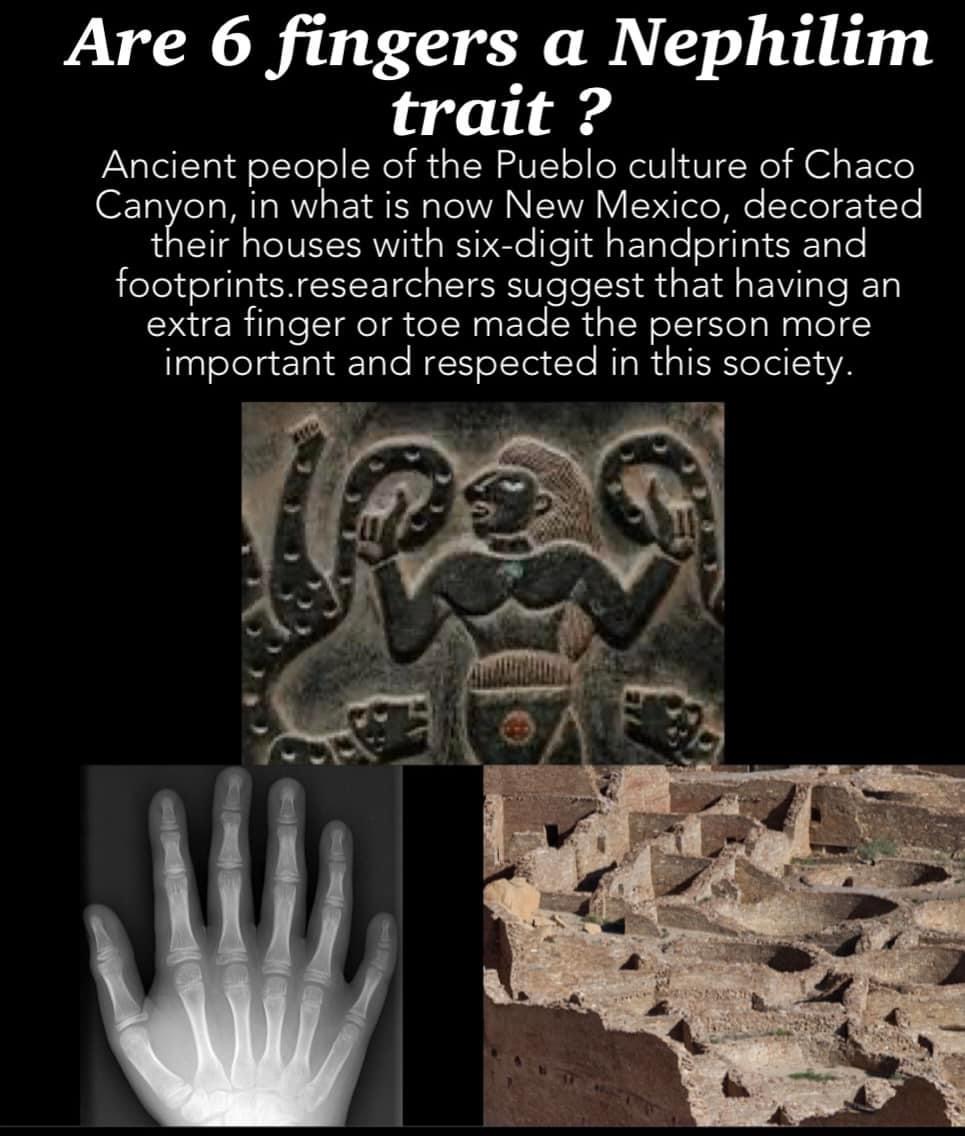 Meme