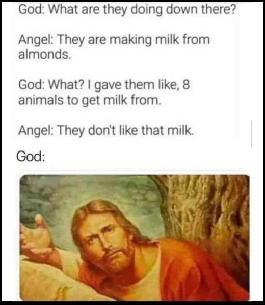 Meme