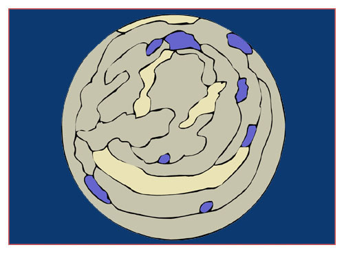 Earth Became Void
